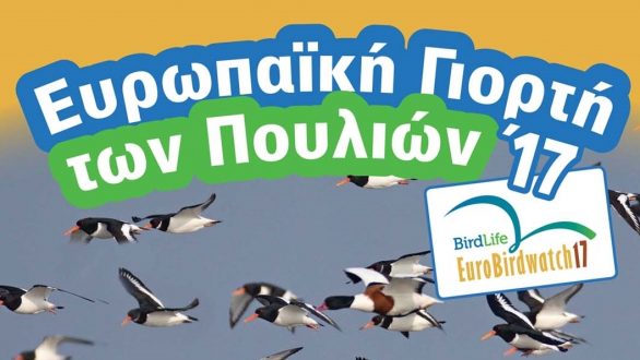 Η Γιορτή των Πουλιών και φέτος στο Δάσος της Δαδιάς