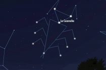 Η Κιβωτός Ονείρου παρουσιάζει την «Κατσαρίδα» στην Αλεξανδρούπολη