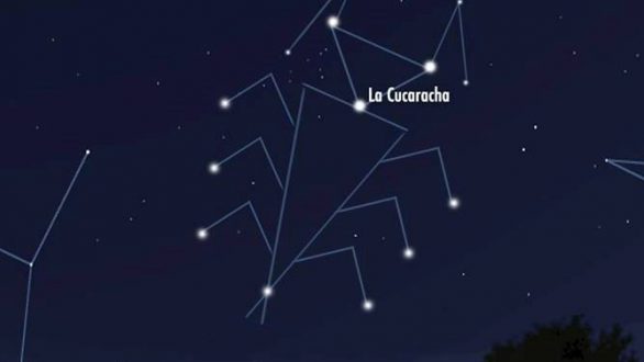 Η Κιβωτός Ονείρου παρουσιάζει την «Κατσαρίδα» στην Αλεξανδρούπολη