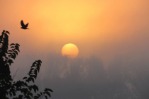 Το τραγούδι της εβδομάδας