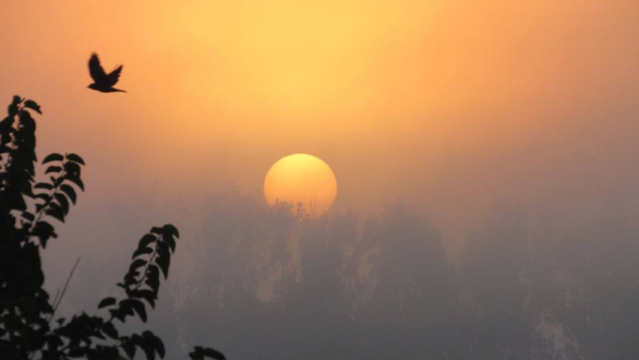 Το τραγούδι της εβδομάδας