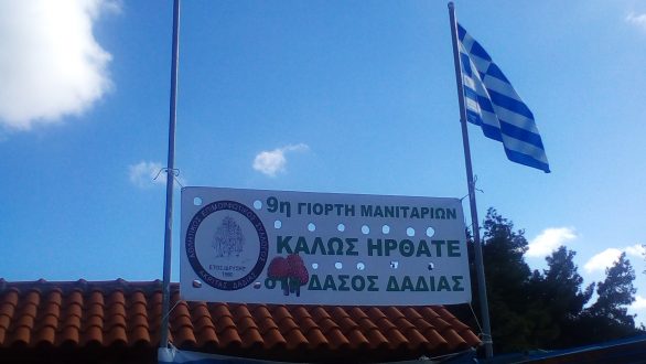 Επισκέπτες από όλο τον Έβρο συναντήθηκαν στην 9η Γιορτή Μανιταριών!