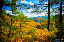 Το τραγούδι της εβδομάδας