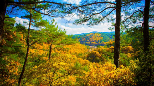 Το τραγούδι της εβδομάδας
