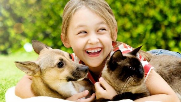 Ημερίδα για τα ζώα συντροφιάς στην Αλεξανδρούπολη