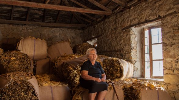 Προβολή ντοκιμαντέρ “Πέρασα κι εγώ από κει κι είχα παπούτσια από χαρτί” στο Σουφλί