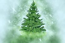 Φωταγώγηση Χριστουγεννιάτικου Δέντρου στο Σουφλί