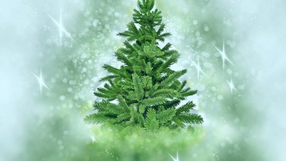 Φωταγώγηση Χριστουγεννιάτικου Δέντρου στο Σουφλί