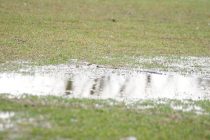 ΕΠΣ Έβρου: Αποτελέσματα και Βαθμολογία Α΄ Κατηγορία (10η Αγωνιστική)