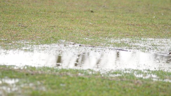 ΕΠΣ Έβρου: Αποτελέσματα και Βαθμολογία Α΄ Κατηγορία (10η Αγωνιστική)