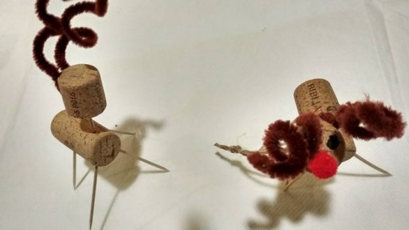 Αλεξανδρούπολη: Ένα γιορτινό ταξίδι στο Μουσείο Φυσικής Ιστορίας ξεκινά