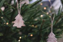 Πότε πρέπει να ξεστολίσεις το χριστουγεννιάτικο δέντρο;