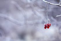 Χειμερινό ηλιοστάσιο: Η πρώτη μέρα του χειμώνα