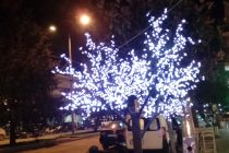 “Αγάπησα τ’ αστέρια γιατί είναι στοργικά με τους ανθρώπους που φοβούνται τις νύχτες…” Γαλιλαίος Γαλιλέι