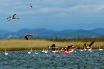 Το τραγούδι της εβδομάδας