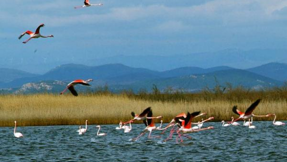 Το τραγούδι της εβδομάδας