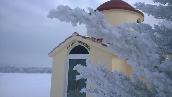 Έθιμο του “Τρύφωνα” 2018 στα Δίκαια