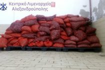 Μεγάλη ποσότητα ακατάλληλων οστράκων κατέσχεσε το Λιμενικό Αλεξανδρούπολης