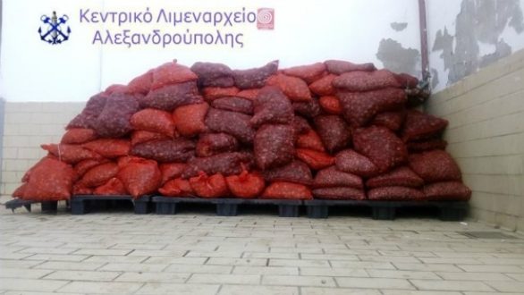 Μεγάλη ποσότητα ακατάλληλων οστράκων κατέσχεσε το Λιμενικό Αλεξανδρούπολης