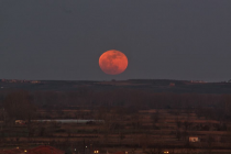 Το τραγούδι της εβδομάδας