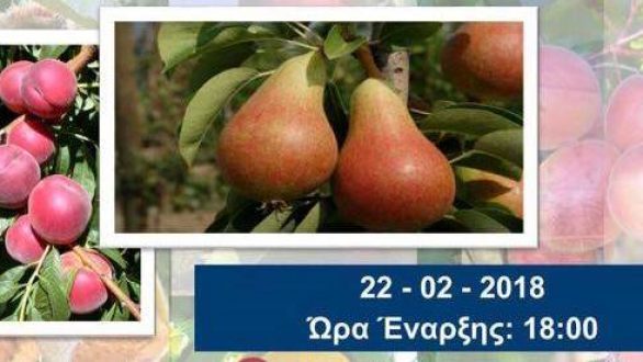 Ημερίδα: “Καινοτόμα δενδροκομία. Αξίζει η επένδυση;” στην Ορεστιάδα