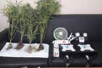 Αλεξανδρούπολη: Σύστημα υδροπονικής καλλιέργειας για… κάνναβη σε οικία ανακάλυψε η αστυνομία