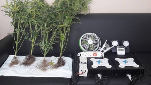 Αλεξανδρούπολη: Σύστημα υδροπονικής καλλιέργειας για… κάνναβη σε οικία ανακάλυψε η αστυνομία