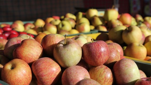 Μήλα: 8 οφέλη για την υγεία