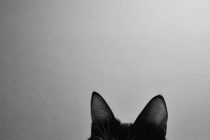 Τρίτη και 13