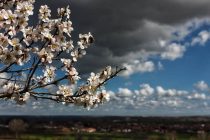 Μπαίνει επίσημα η Άνοιξη του 2018!
