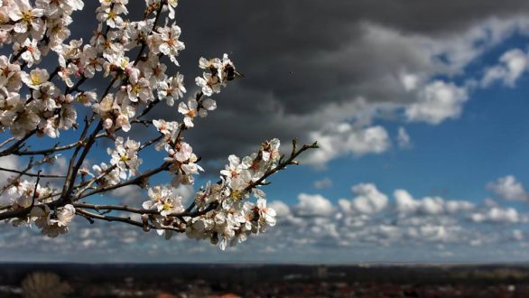 Μπαίνει επίσημα η Άνοιξη του 2018!