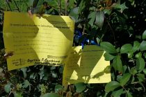 Η Αλεξανδρούπολη γέμισε ποιήματα για την Παγκόσμια Ημέρα Ποίησης!