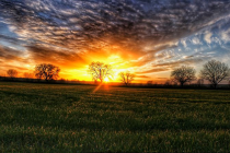 Το τραγούδι της εβδομάδας