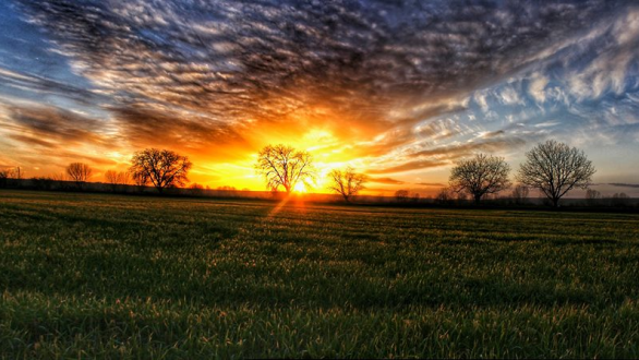 Το τραγούδι της εβδομάδας