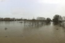 Οι αυξητικές τάσεις του Έβρου δυσκολεύουν την κατάσταση στο Διδυμότειχο