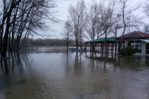 Το τραγούδι της εβδομάδας