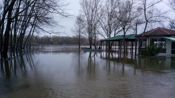 Το τραγούδι της εβδομάδας