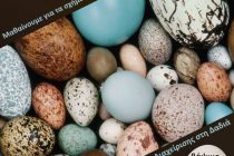 “Μαθαίνουμε για τα σχήματα και τα χρώματα των αυγών στη φύση” στο Δάσος Δαδιάς