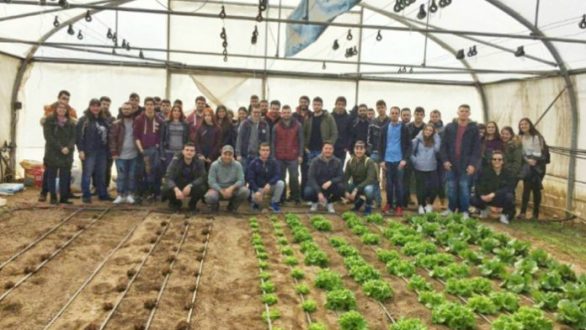Ατρακτυλίδα και ρετσινολαδιά ως εναλλακτικές καλλιέργειες στο Τμήμα Αγροτικής Ανάπτυξης Ορεστιάδας