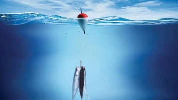 Απαγόρευση αλιείας στην Περιφερειακή Ενότητα Έβρου