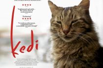 “Οι Γάτες την Κωνσταντινούπολης” από την Κινηματογραφική Λέσχη Αλεξανδρούπολης