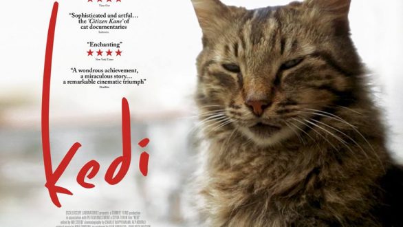 “Οι Γάτες την Κωνσταντινούπολης” από την Κινηματογραφική Λέσχη Αλεξανδρούπολης