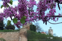 Το τραγούδι της εβδομάδας