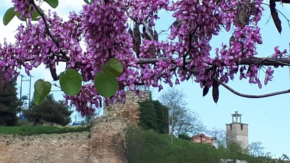 Το τραγούδι της εβδομάδας