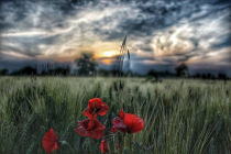 Το τραγούδι της εβδομάδας