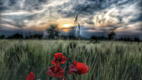 Το τραγούδι της εβδομάδας