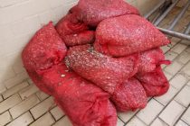 Ένα τόνο ακατάλληλα όστρακα κατασχέθηκαν από το Λιμενικό Αλεξανδρούπολης