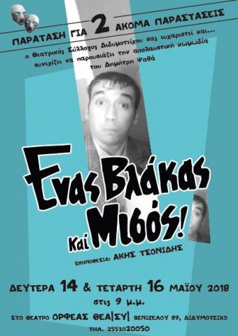 ένας βλάκας και μισός, θέατρο