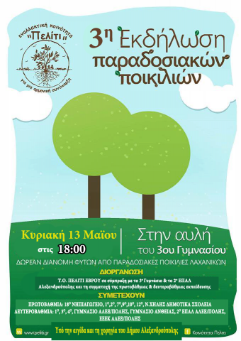 Πελίτι_εκδήλωση