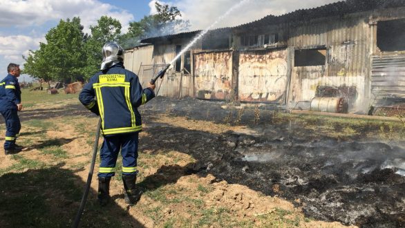 Φωτιά σε σταβλική εγκατάσταση στην Ορεστιάδα